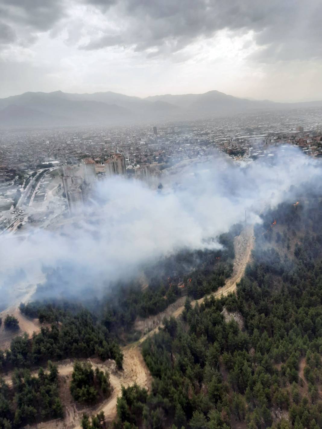 Pamukkale orman yangını! Hem havadan hem de karadan müdahale ediliyor 14